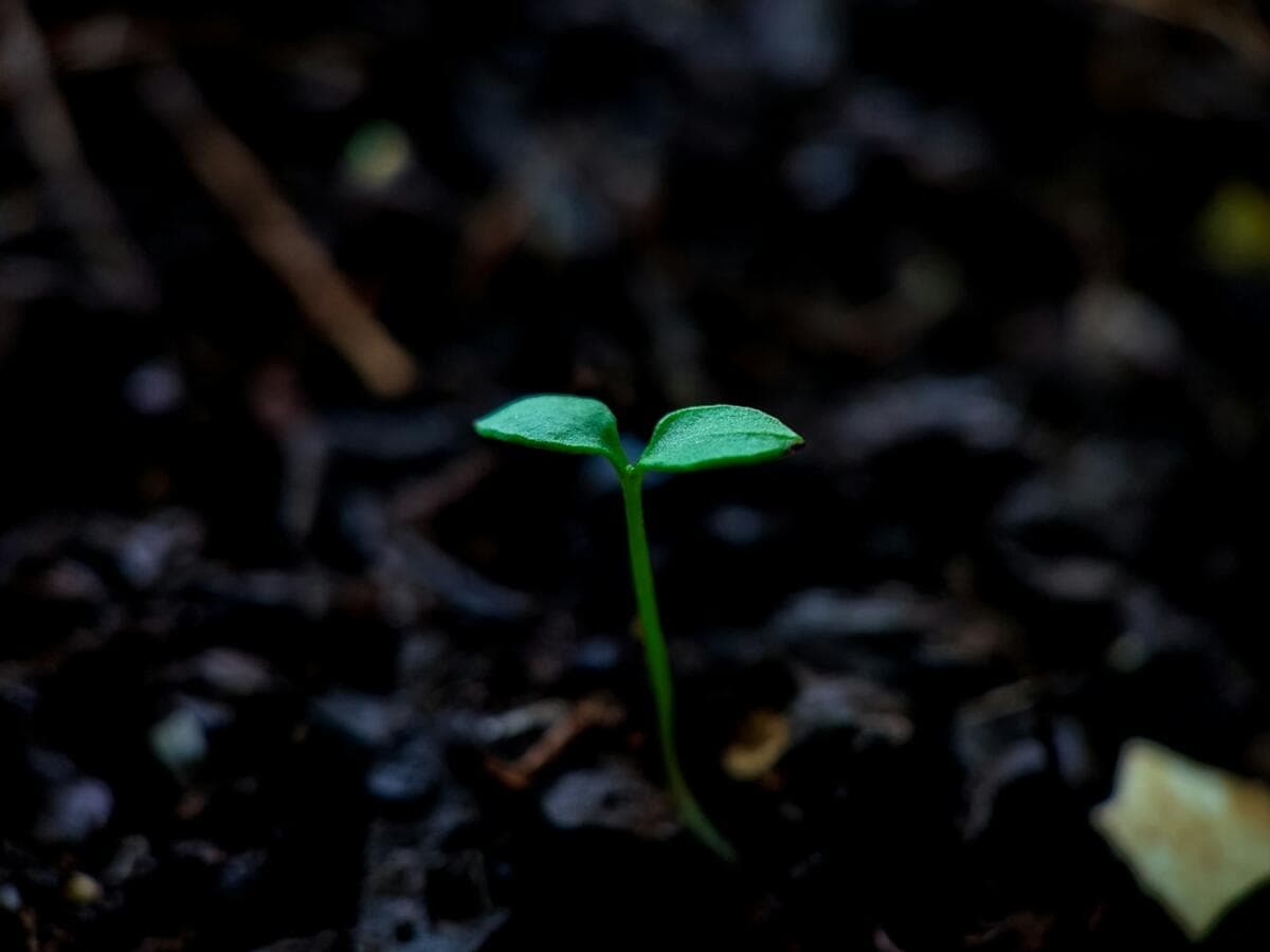 Series A Funding: Scaling Your UK Company Successfully