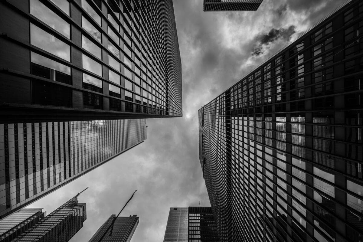 Understanding Branches: Legal Considerations for Companies Expanding Their Business