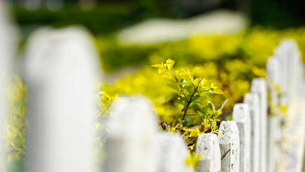 What to Do If Your Partnership Partner Dies: Legal Steps & Protecting Your Business