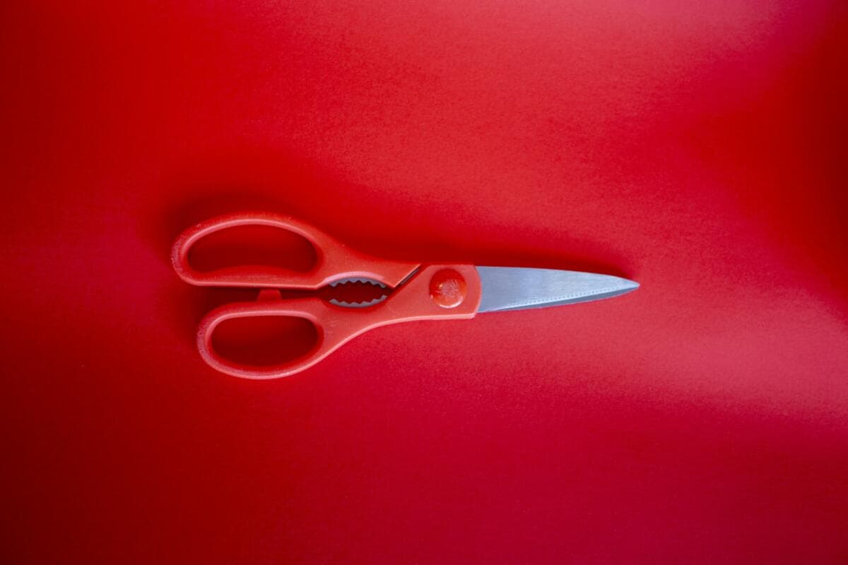Software Licences: What Small Businesses Need To Know