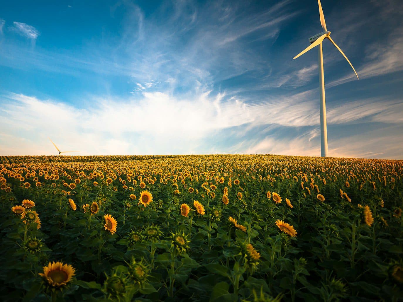 Greenwashing Claims: Why Sustainability Marketing Is Under Scrutiny